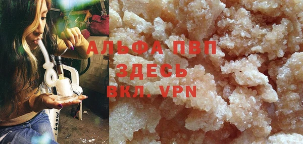 дмт Дмитриев
