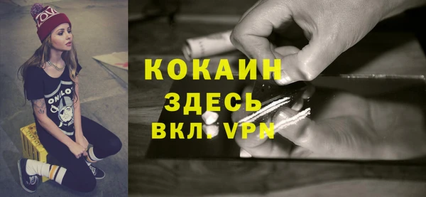 дмт Елизово