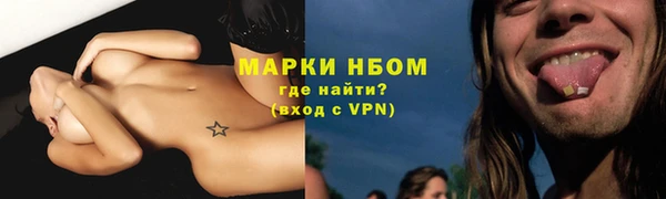 дмт Дмитриев