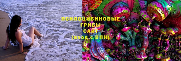 дмт Дмитриев