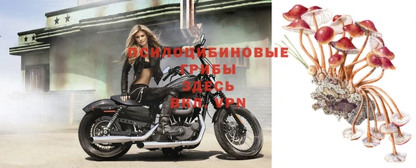 тгк Ельня