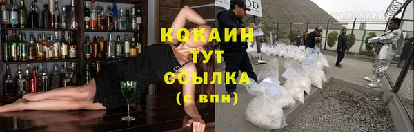 дмт Дмитриев