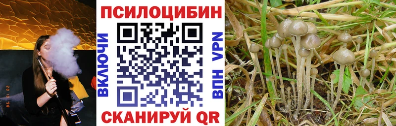 Псилоцибиновые грибы GOLDEN TEACHER  Купить закладки  Певек 
